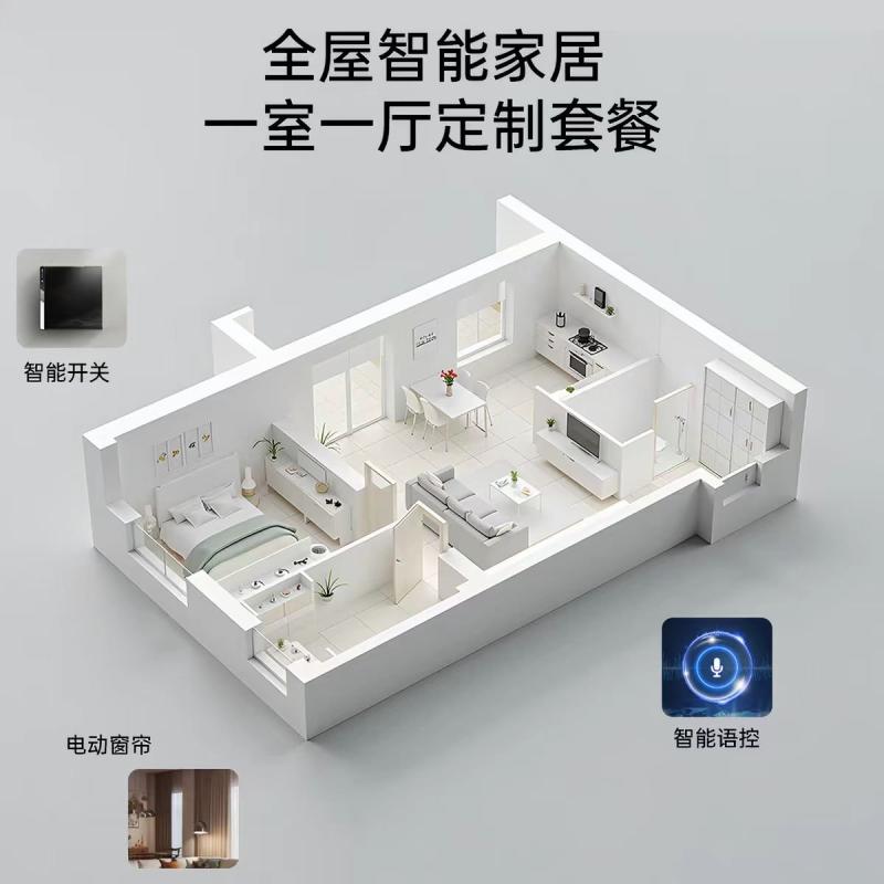 全屋智能家居 · 一室一厅定制套餐 — 全屋智能套餐